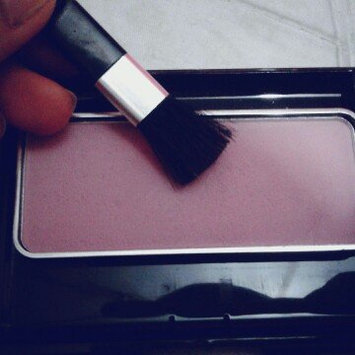 Photo of Colormates Blush & Brush Blushed Pack of 4 uploaded by Gabriela M.