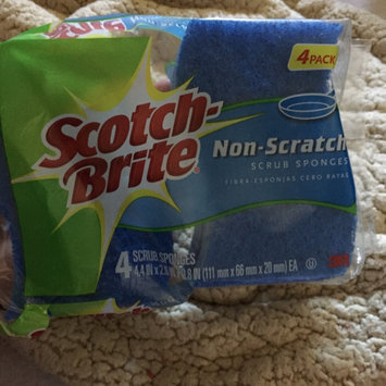 Photo of Scotch-Brite Basic Non-Scratch Scrub Sponge uploaded by Maria N.
