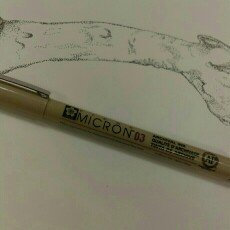 Photo of Alvin 30065 0.45 Pigma Micron uploaded by ana G.