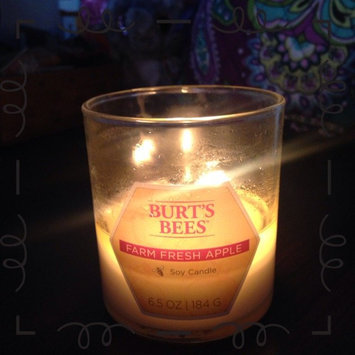 Photo of Blyth Home Scents 111217 Burts Bees Farm Fresh Apple Small Jar Candle Pack of 4 uploaded by Hannah M.