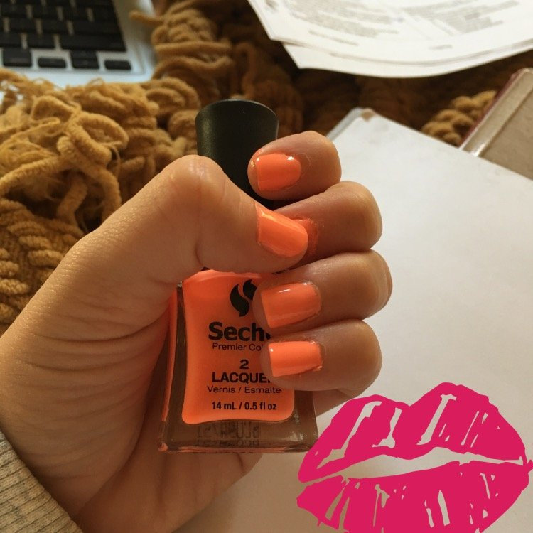 Seche Premier Colour