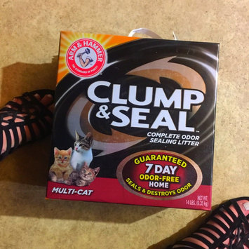 Photo of ARM & HAMMER™ Clump & Seal Complete Odor Sealing Clumping Litter Multi-Cat uploaded by Alondra V.