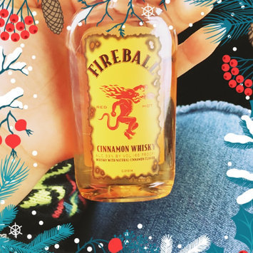 Photo of Fireball Cinnamon Whisky uploaded by Annett A.