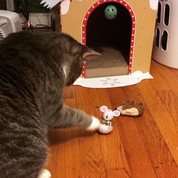 Photo of TEMPTATIONS™ Snacky Mouse Cat Toy uploaded by Lily A.