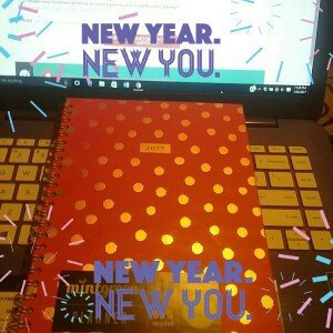 Photo of Generic Medium Planner uploaded by Daisy H.