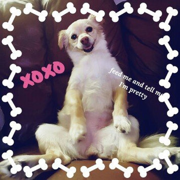 Photo of Pup-Peroni® Original Bacon Flavor Dog Snacks, 10-Ounce uploaded by Taylor J.