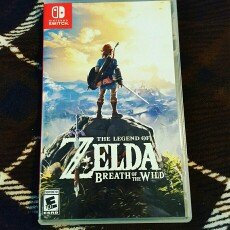 Photo of The Legend of Zelda: Breath of the Wild (Wii U) uploaded by Reba B.