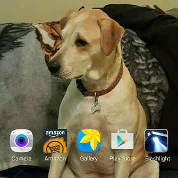 Photo of Verizon Samsung Galaxy Note 5 32GB White uploaded by Tanya G.