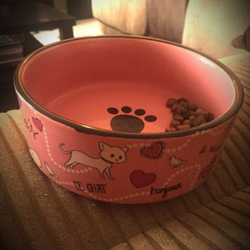 Photo of Whisker CityA Paris Cat Bowl uploaded by Jared B.