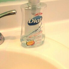 Photo of Dial® Liquid Hand Soap, Coconut Water & Mango uploaded by Veronica N.