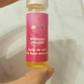Photo of Weleda Wild Rose Body Oil uploaded by Annika M.
