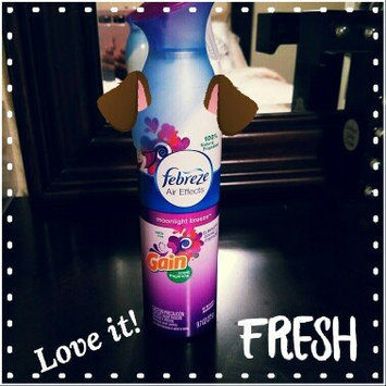 Photo of Air Effects Febreze® Air Effects Gain® Moonlight Breeze Air Freshener (2 Count, 19.4 oz) uploaded by Terrica K.