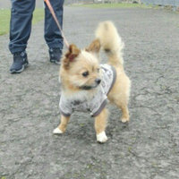Four Paws Comfort Control Harness Blue Large uploaded by Lauren W.