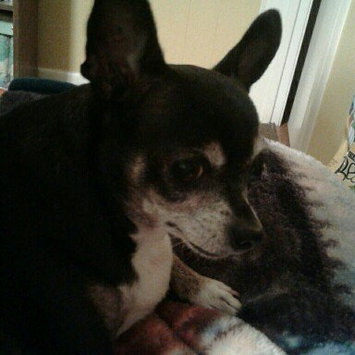 Photo of Beggin'® Littles Original With Bacon Dog Treats uploaded by Laurie L.