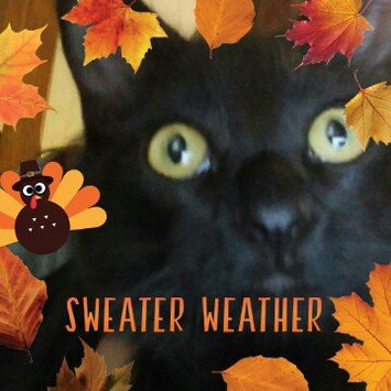 Photo of Merrick Purrfect Bistro Thanksgiving Day Dinner Canned Cat Food 24 - 5.5oz Cans uploaded by Karla e.