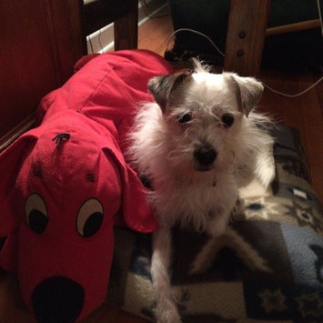 Photo of Charlee Bear Dog Treats with Liver - 6 oz uploaded by Barbara H.