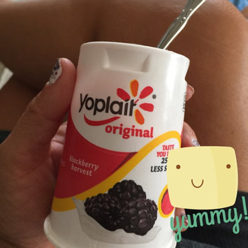 Photo of Yoplait® Original Blackberry Harvest Yogurt uploaded by Wendy C.