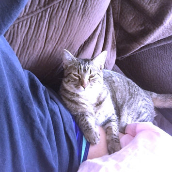 Photo of Humane Society of the United States uploaded by Hayley K.