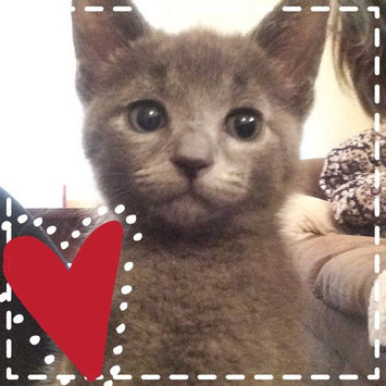 Photo of Humane Society of the United States uploaded by Natalie S.