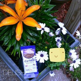 Photo of Curate™ Dark & Tempting Snack Bar uploaded by Jessica V.