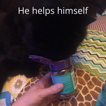 Photo of Pounce Cat Treats uploaded by Kari M.