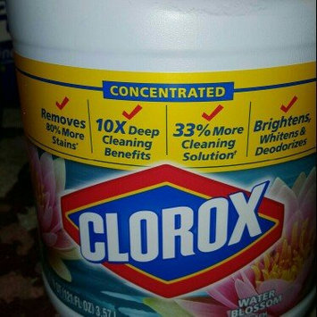 Photo of Clorox Concentrated Regular Bleach uploaded by Erica S.