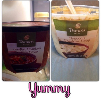 Photo of Panera Bread Low-Fat Chicken Tortilla Soup uploaded by Carmen S.