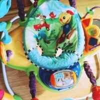 Photo of Baby Einstein Jumper - Neighborhood Friends uploaded by Whitney B.