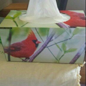 Photo of Kleenex® Medium Count Upright Everyday Tissues 4-80 ct Pack uploaded by Lori B.