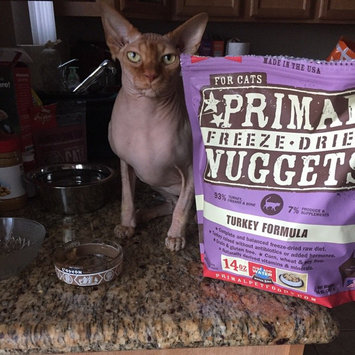 Photo of Primal Cat Freeze Dried Nuggets Chicken & Salmon - 14 oz uploaded by Liz H.