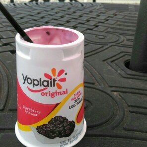 Photo of Yoplait® Original Blackberry Harvest Yogurt uploaded by Kindra M.