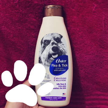Photo of Oster Oatmeal Naturals Flea & Tick Shampoo - Mandarin Violet uploaded by Brenda R.