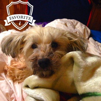 Photo of Humane Society of the United States uploaded by Blythe S.