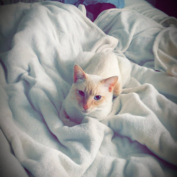 Photo of Humane Society of the United States uploaded by Natasha S.