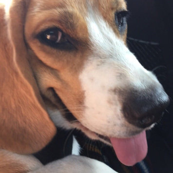 Photo of ASPCA uploaded by Lani H.