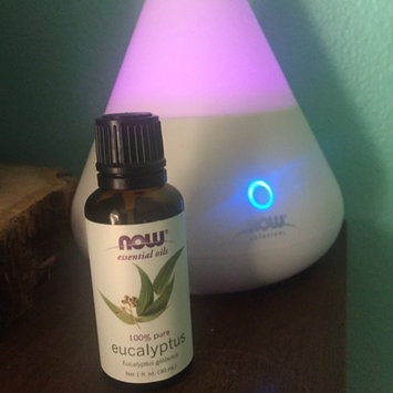 Photo of NOW Foods - Eucalyptus Oil - 16 oz. uploaded by Amy P.