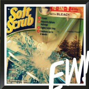 Photo of Soft Scrub 4-in-1 Toilet Care Alpine Fresh Scent Toilet Cleaner with Bleach uploaded by Christina C.