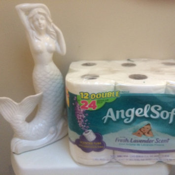 Photo of Angel Soft Classic White Bath Tissue uploaded by Cary W.