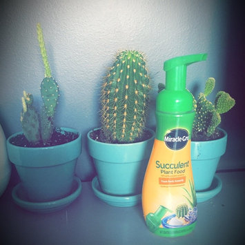Photo of Miracle Gro 8 Oz Foaming Succulent Plant Food (1000531) uploaded by Kelsey B.
