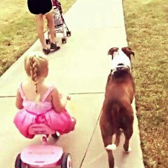 Photo of Humane Society of the United States uploaded by ali w.