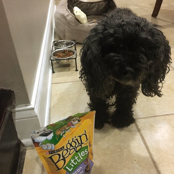Photo of Beggin'® Littles Original With Bacon Dog Treats uploaded by Diana M.