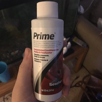 Photo of Seachem Prime Aquarium Water Conditioner uploaded by Claire M.