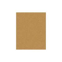 Caribsea Reptilite Sand in Aztec Gold (10 lbs) (Set of 4)