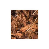 Caribsea Carib Sea SCS04212 Blue Iguana Coco Soft Chip