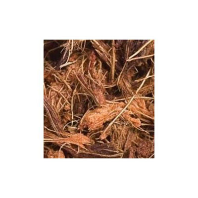 Caribsea Carib Sea SCS04212 Blue Iguana Coco Soft Chip