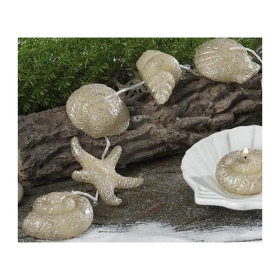 Cc Home Furnishings Pack of 12