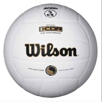 Wilson Sports ICOR High Performance Volleyball