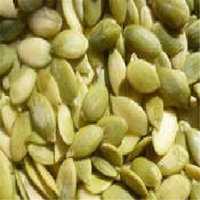 Seeds BG18002 Seeds Pumpkin SeedsHulled - 1x5LB