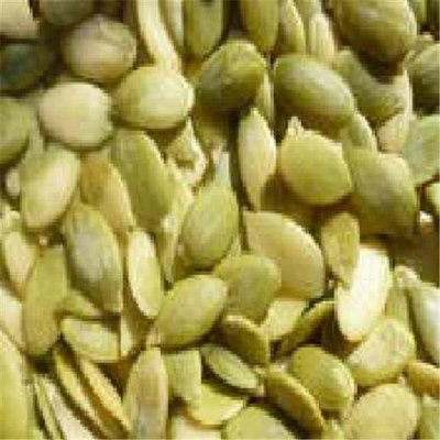 Seeds BG18002 Seeds Pumpkin SeedsHulled - 1x5LB