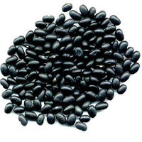 Bulk Peas And Beans Organic 100% Organic Black Turtle Beans 25 lb